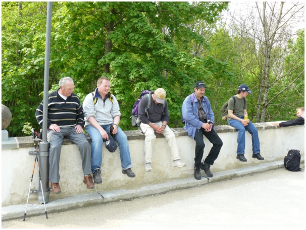 584x433 pixels (149K)